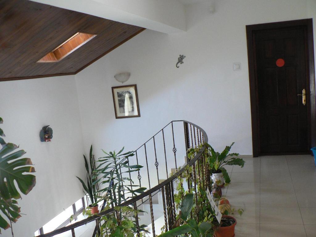 Casa Havana (Adults Only) Costinesti Exterior foto
