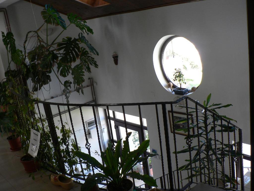 Casa Havana (Adults Only) Costinesti Exterior foto