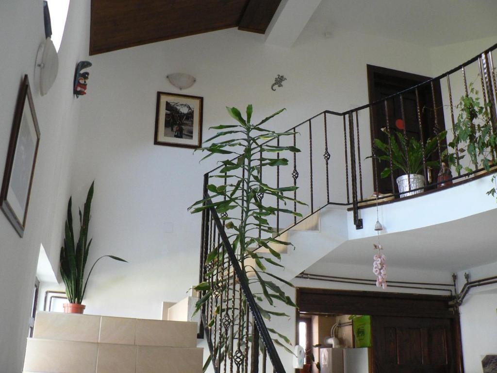 Casa Havana (Adults Only) Costinesti Exterior foto